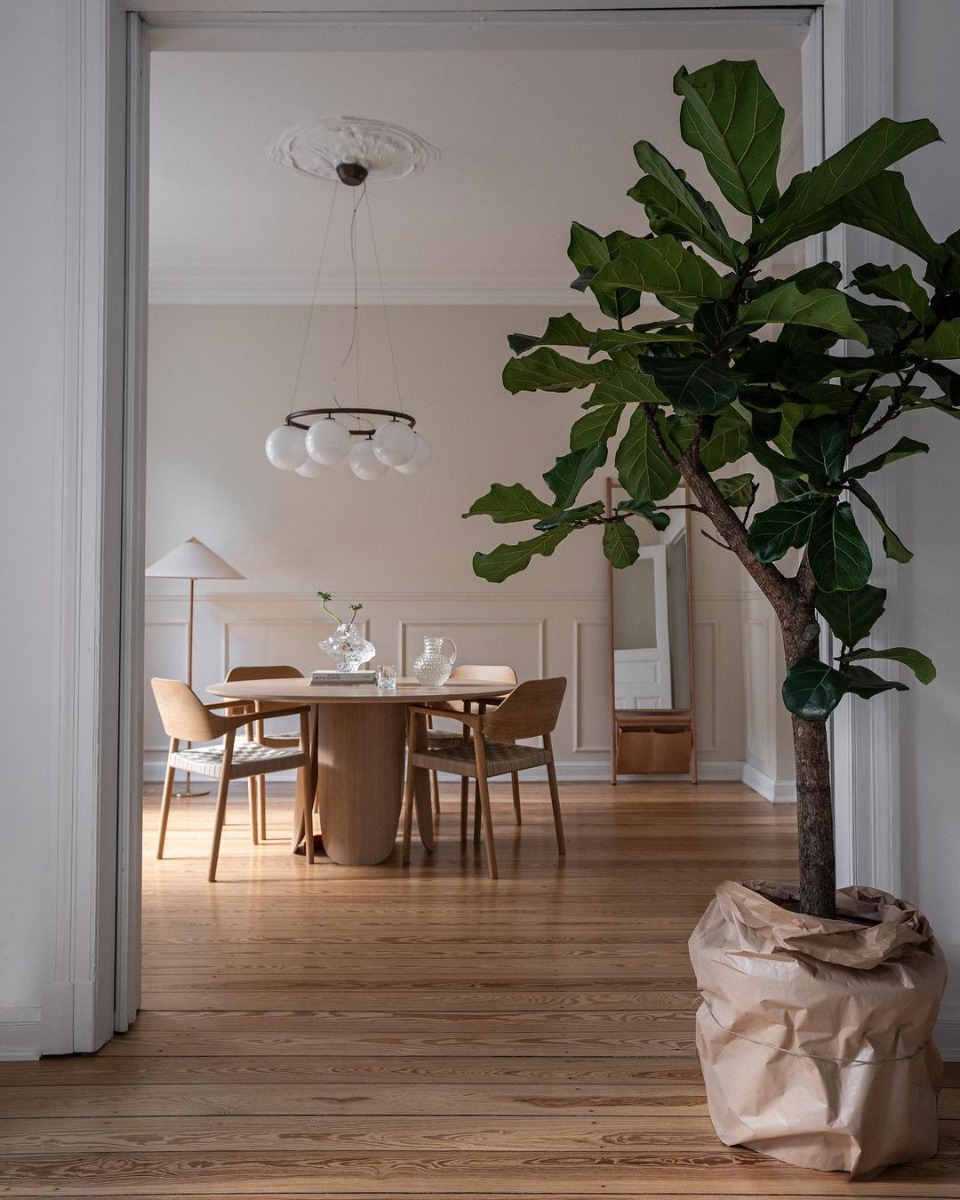 Scandinavian Interior Style: Nature